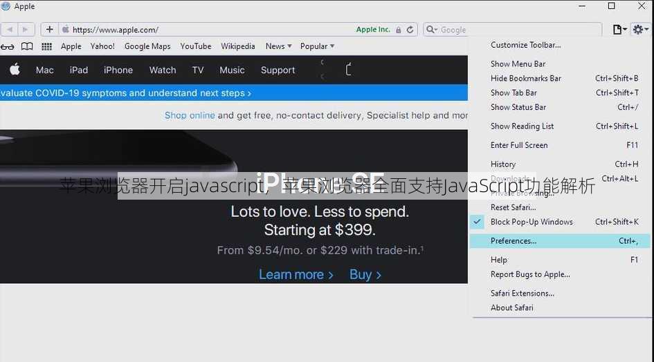 苹果浏览器开启javascript