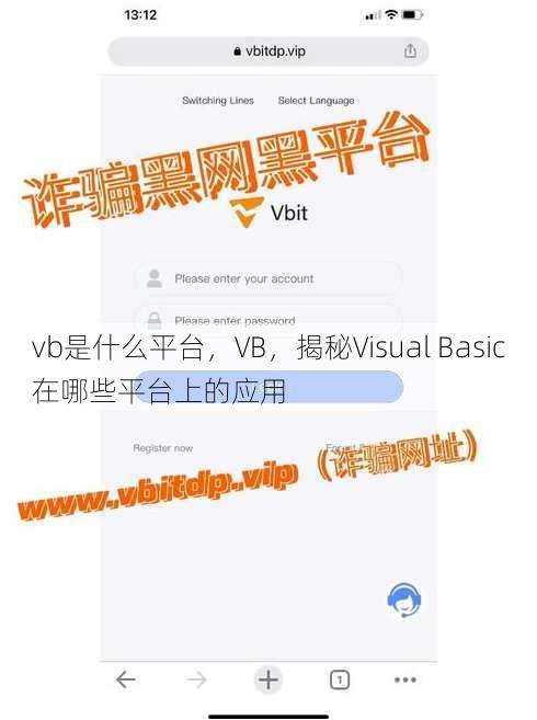 vb是什么平台