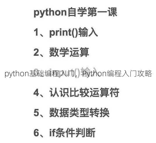 python基础编程入门