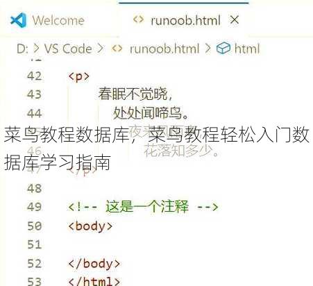 菜鸟教程数据库