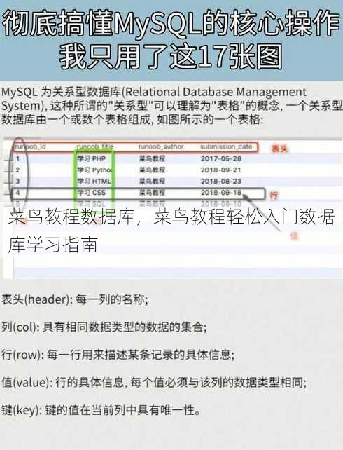 菜鸟教程数据库