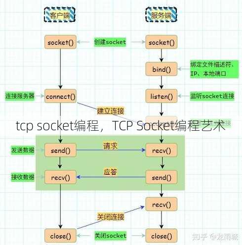 tcp socket编程