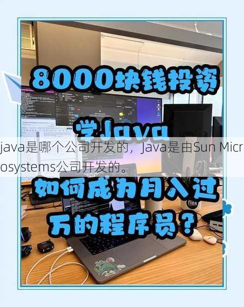 java是哪个公司开发的