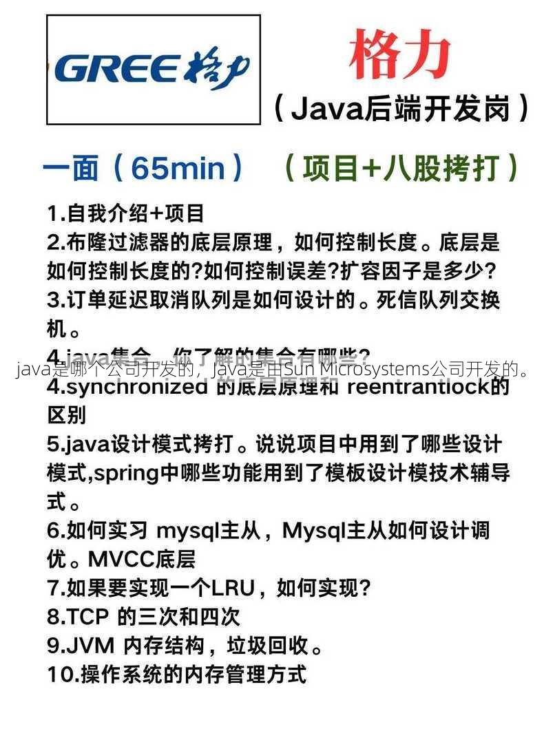 java是哪个公司开发的