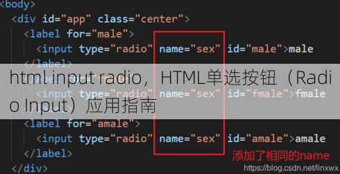 html input radio