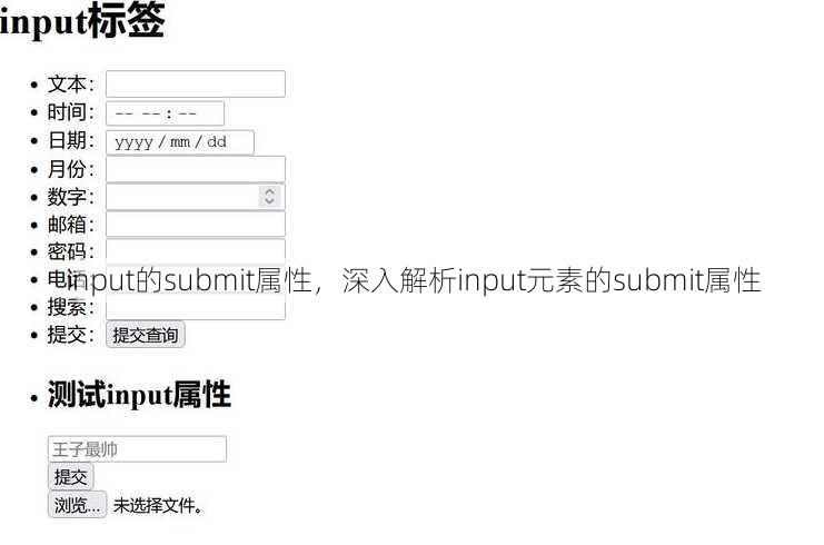 input的submit属性