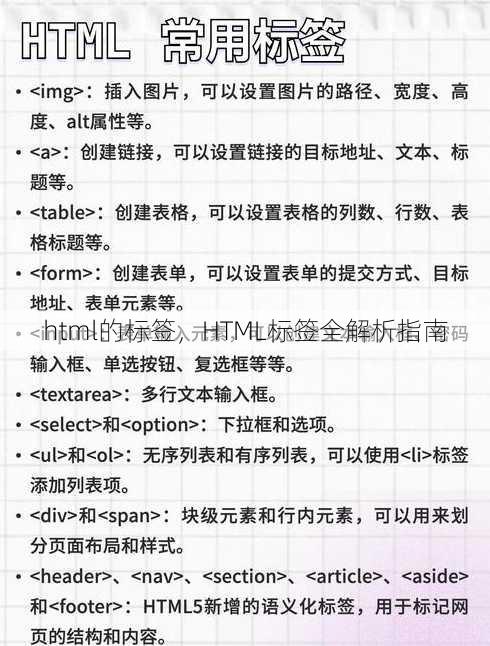 html的标签