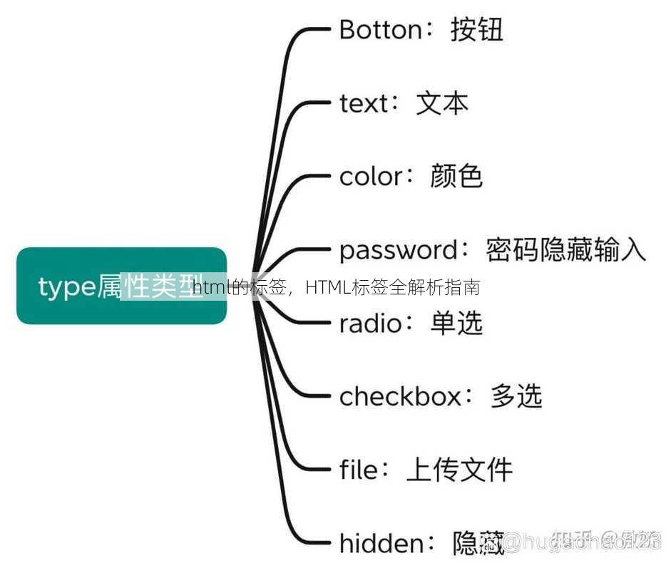 html的标签