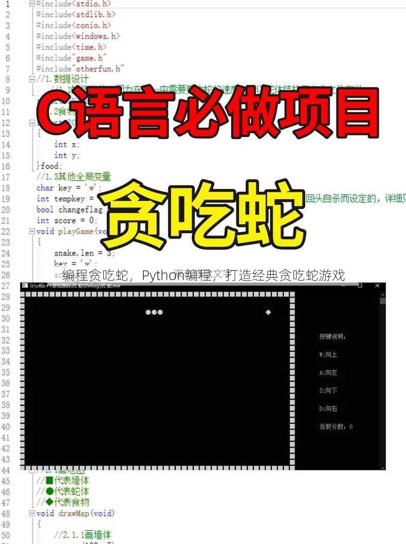 编程贪吃蛇