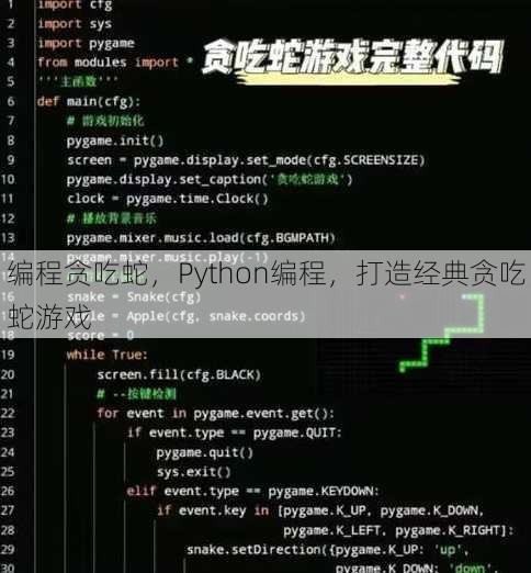 编程贪吃蛇