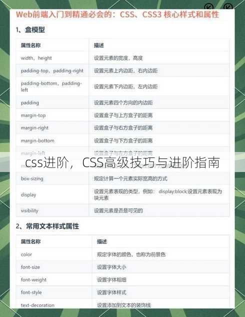 css进阶