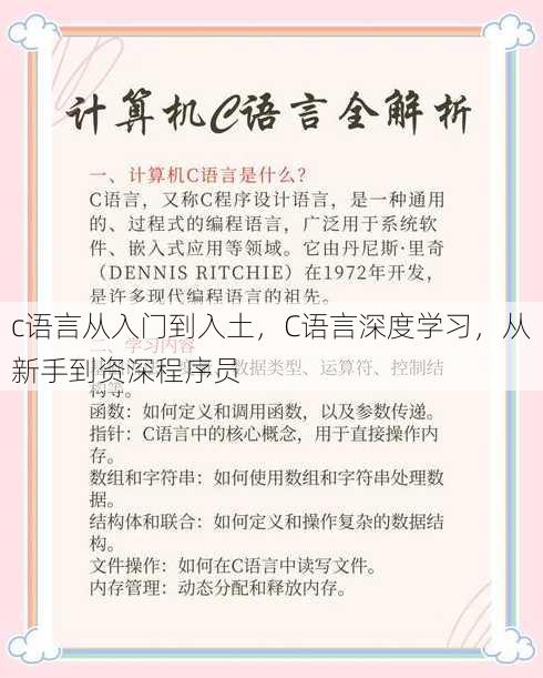 c语言从入门到入土