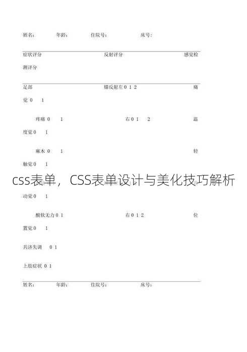 css表单