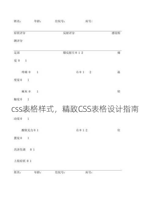 css表格样式