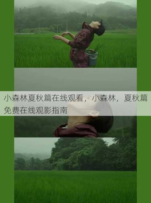 小森林夏秋篇在线观看