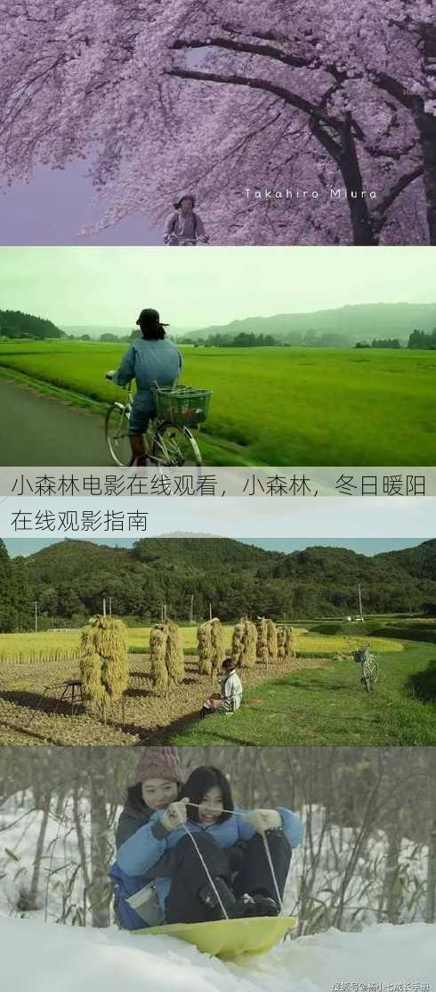 小森林电影在线观看