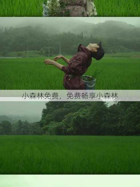 小森林免费