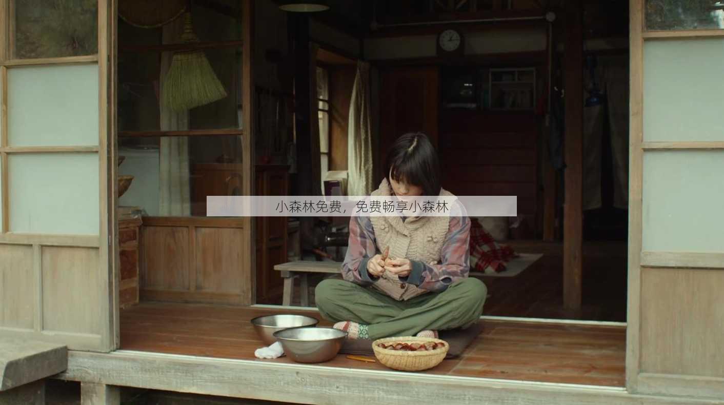 小森林免费