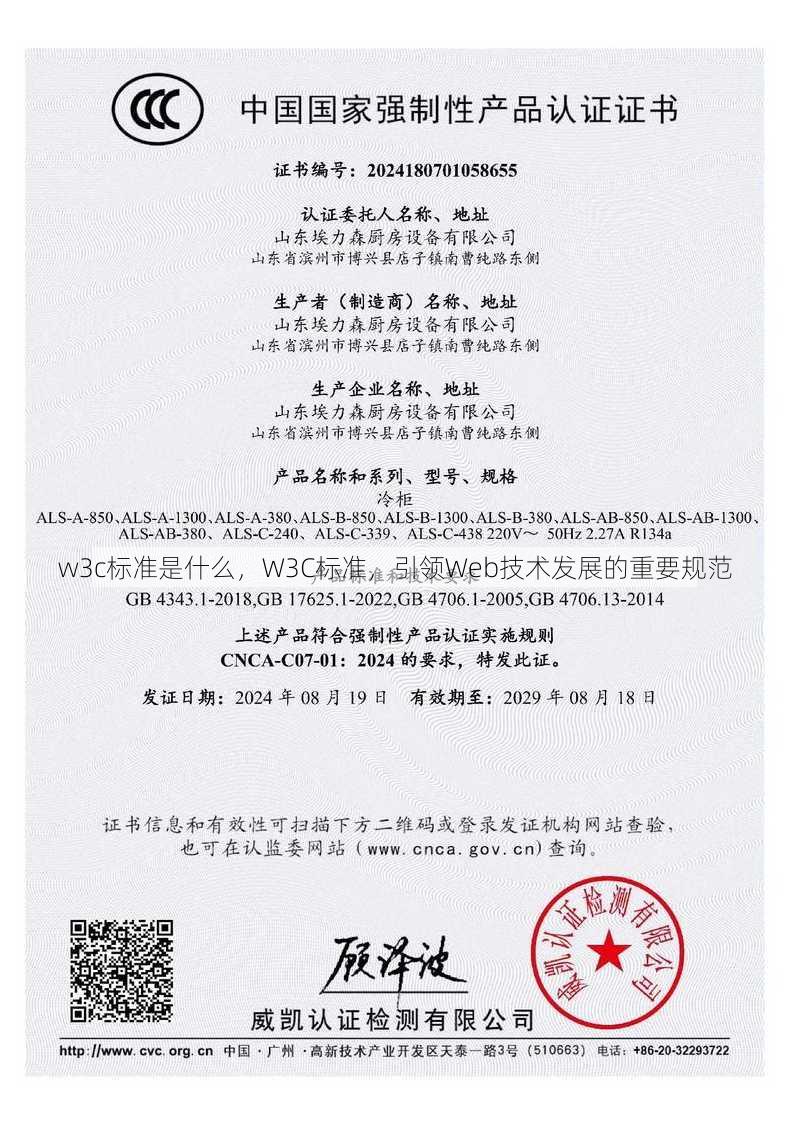 w3c标准是什么
