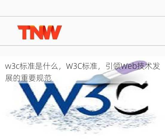 w3c标准是什么
