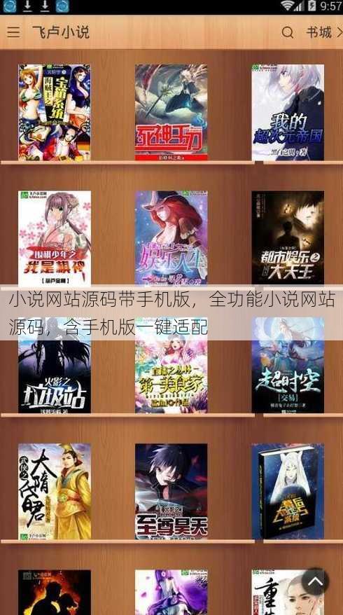 小说网站源码带手机版