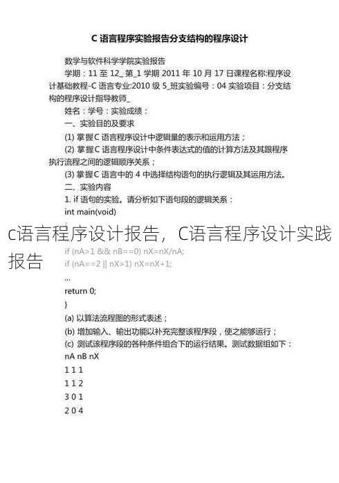 c语言程序设计报告