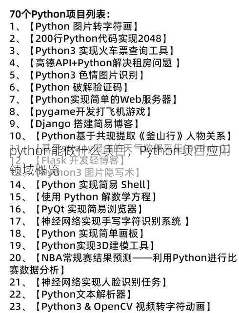 python能做什么项目