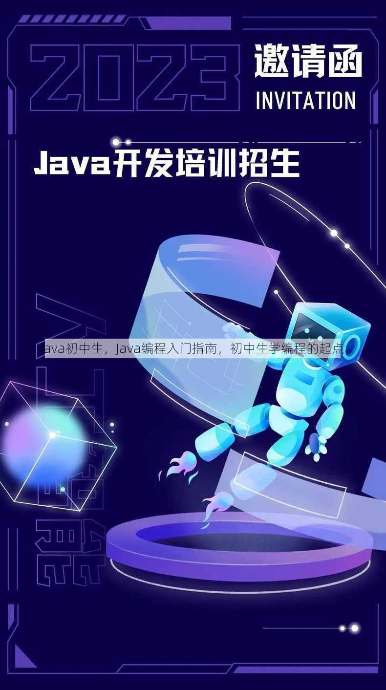 java初中生