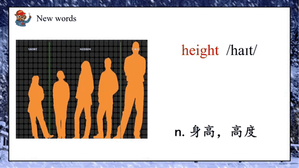 height翻译成中文