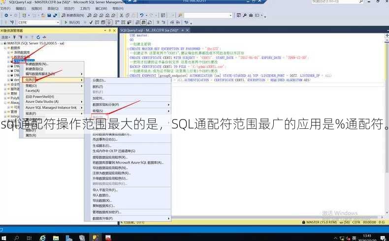 sql通配符操作范围最大的是