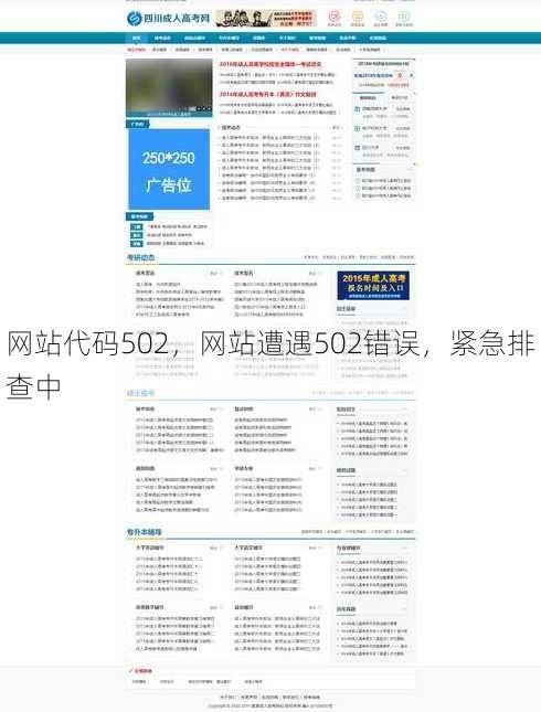 网站代码502