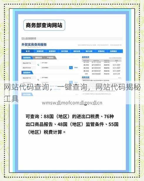 网站代码查询