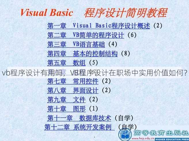 vb程序设计有用吗