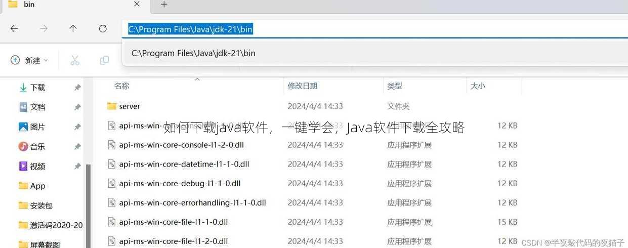如何下载java软件
