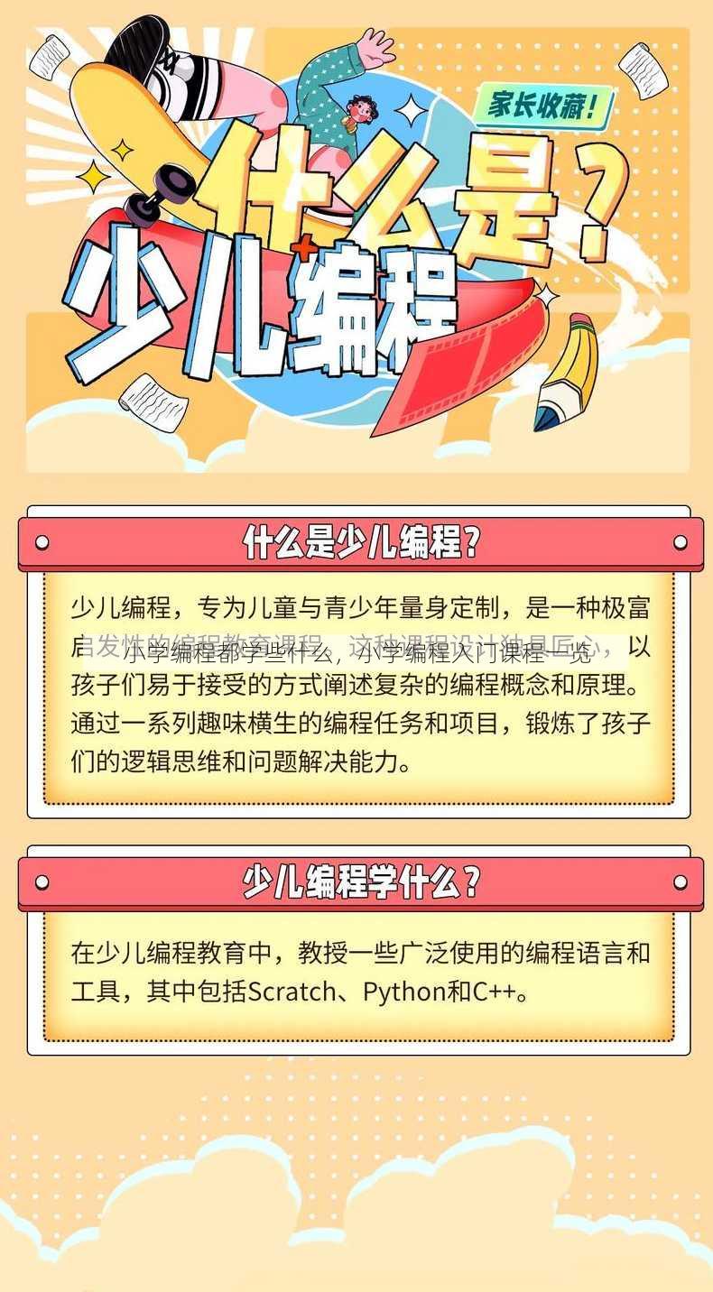 小学编程都学些什么