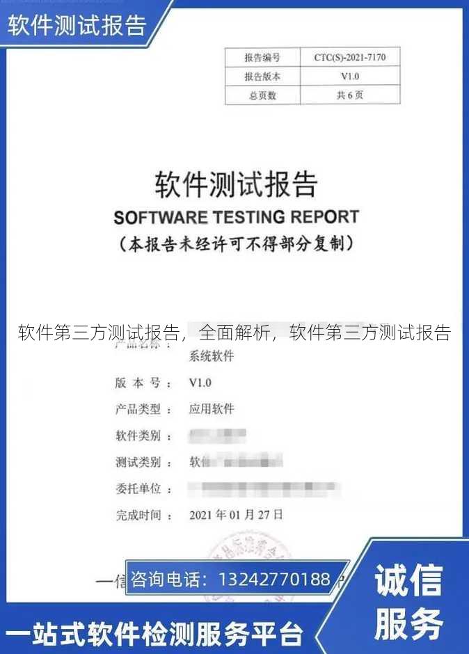 软件第三方测试报告