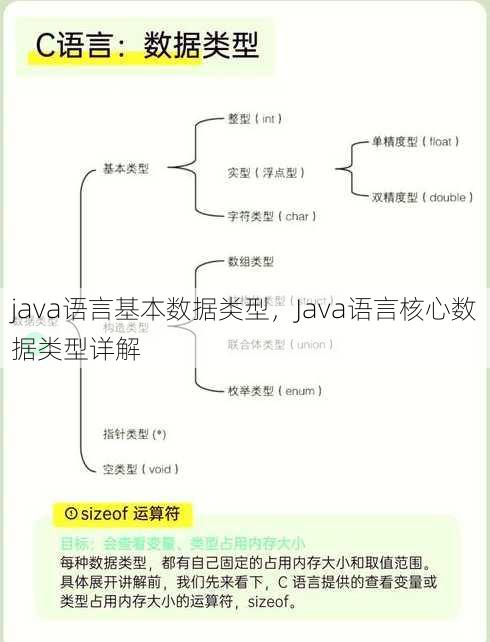 java语言基本数据类型