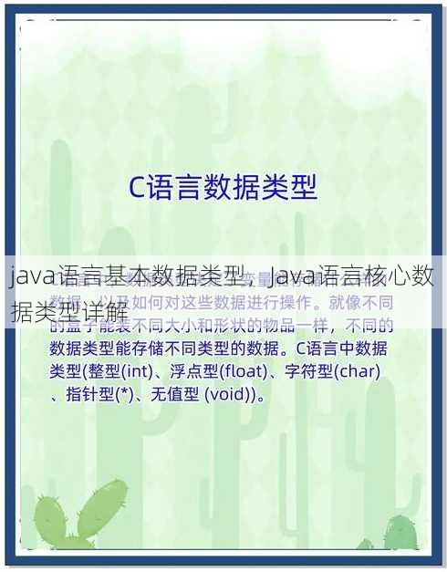 java语言基本数据类型