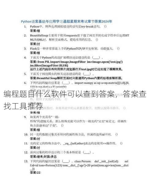 编程题目什么软件可以查到答案