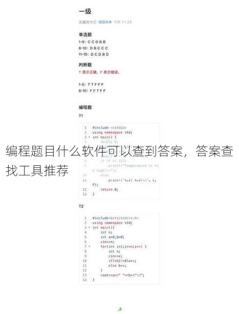 编程题目什么软件可以查到答案