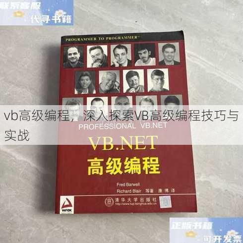 vb高级编程