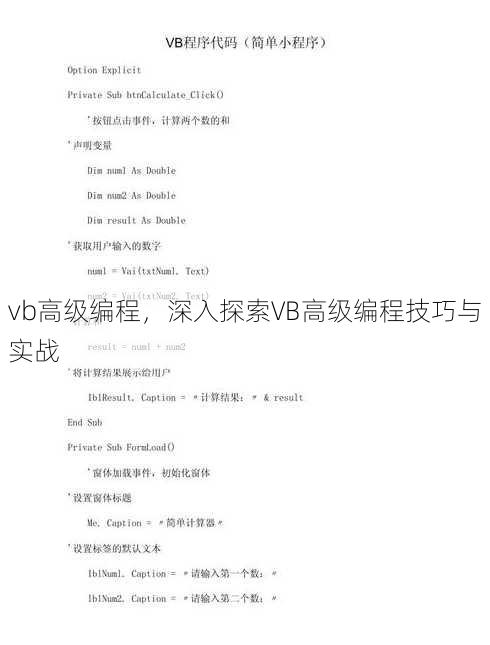 vb高级编程