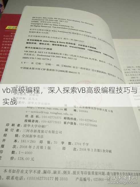 vb高级编程