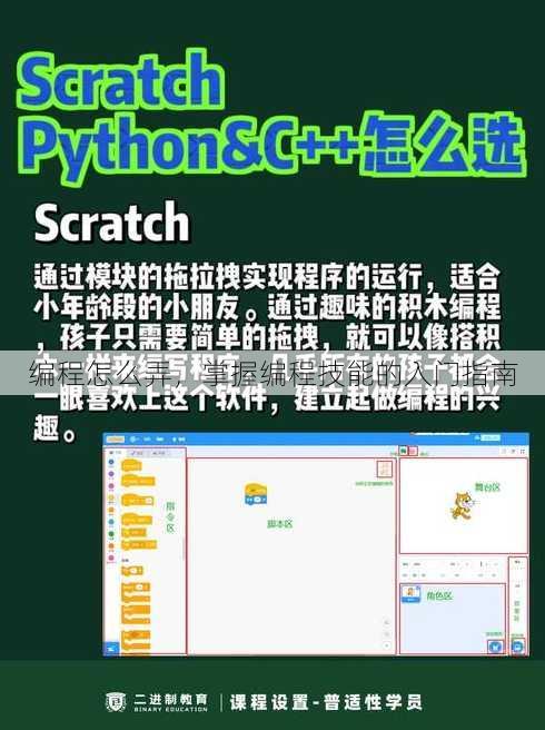 编程怎么弄