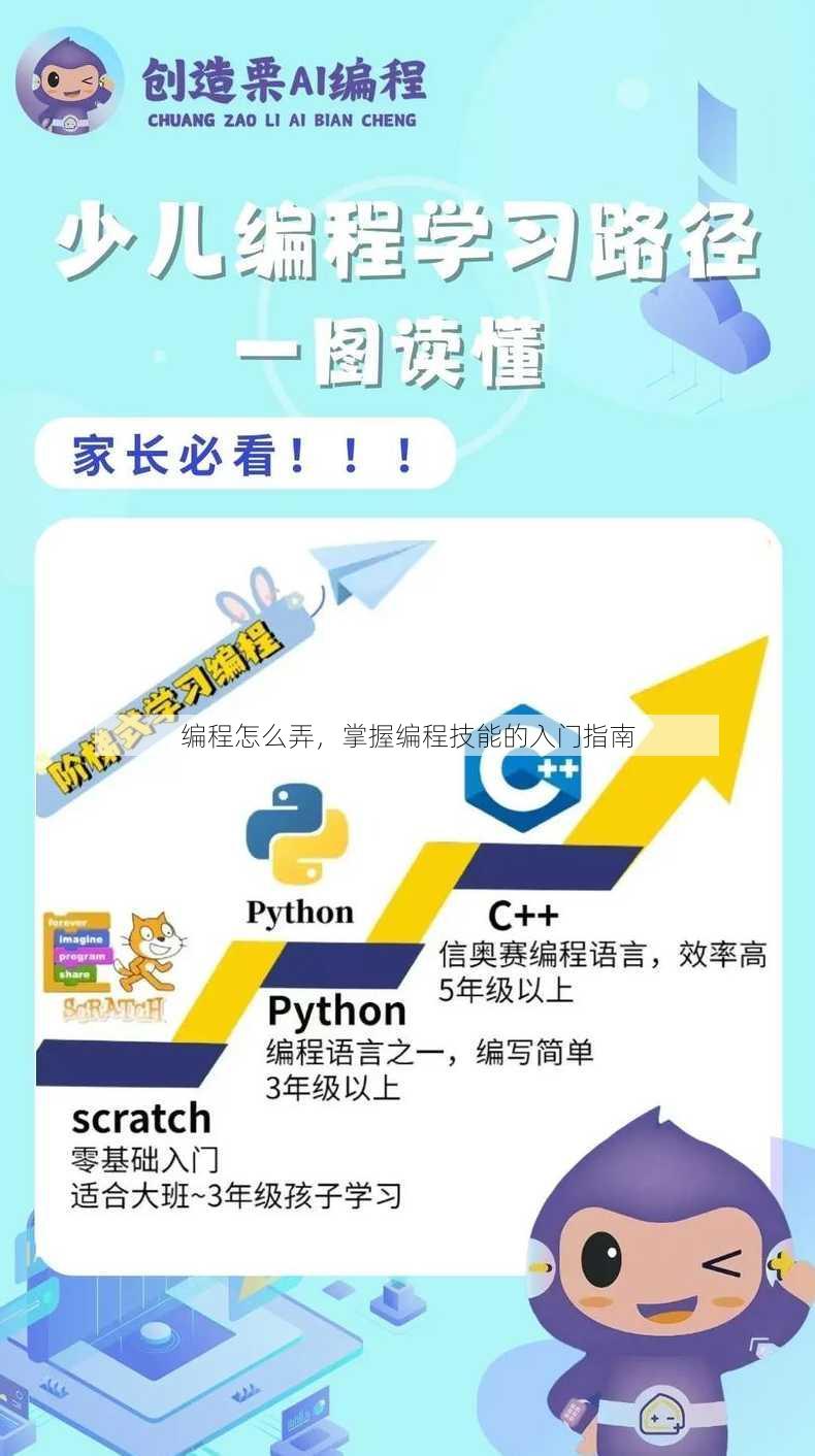 编程怎么弄