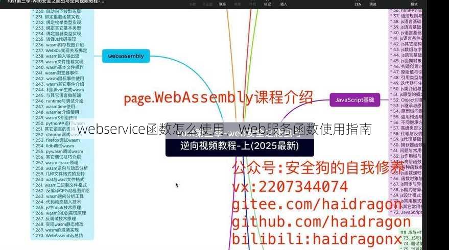 webservice函数怎么使用