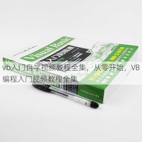 vb入门自学视频教程全集
