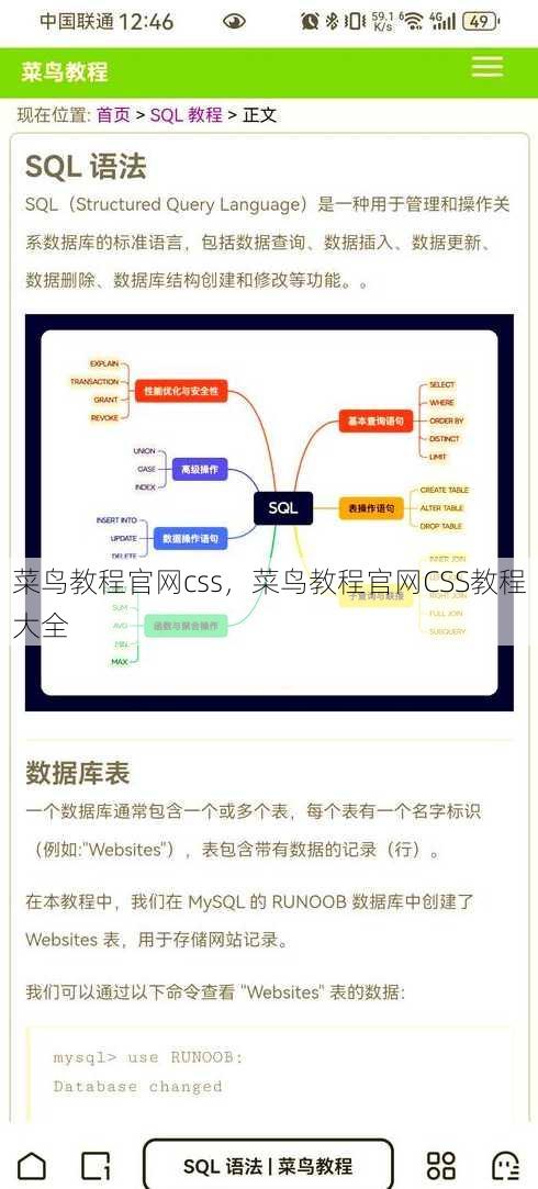 菜鸟教程官网css