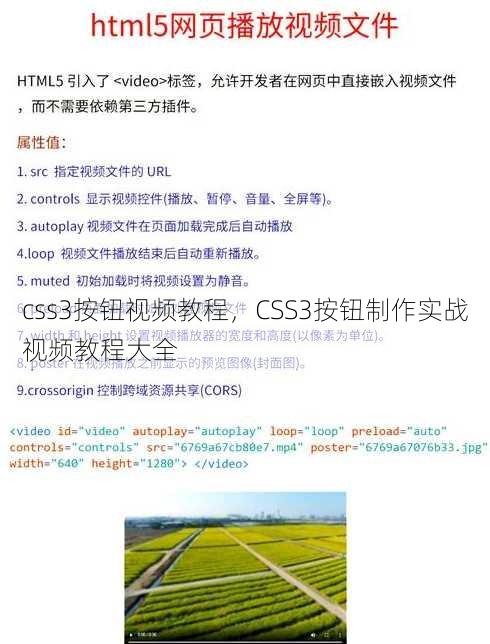css3按钮视频教程