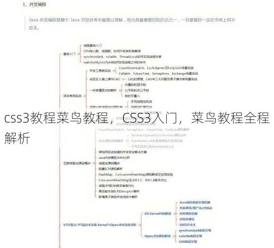 css3教程菜鸟教程